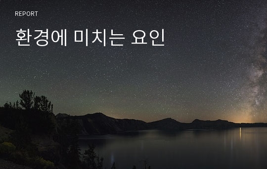 환경에 미치는 요인