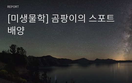 [미생물학] 곰팡이의 스포트 배양