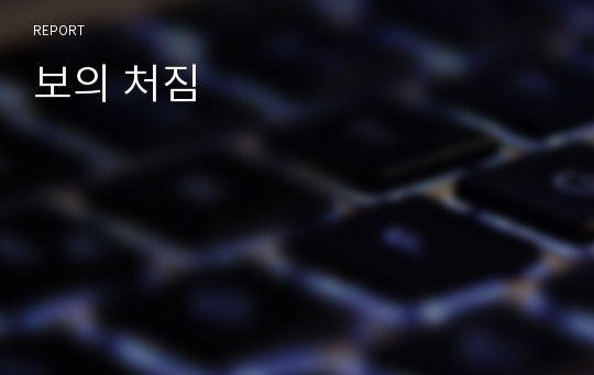 보의 처짐