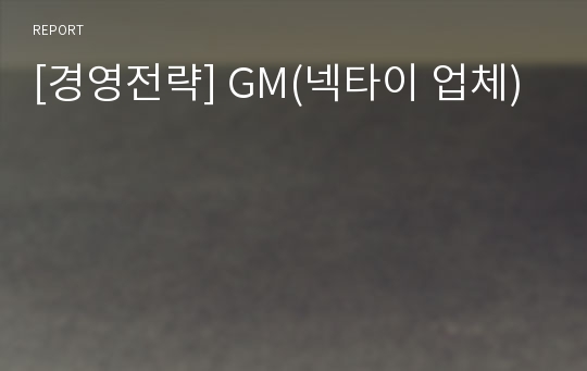 [경영전략] GM(넥타이 업체)