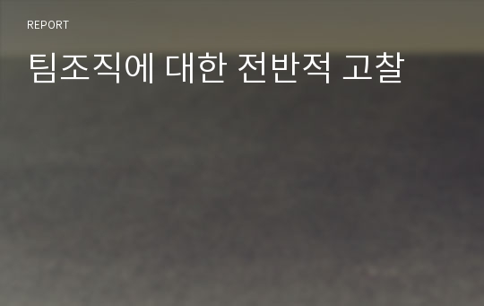 팀조직에 대한 전반적 고찰