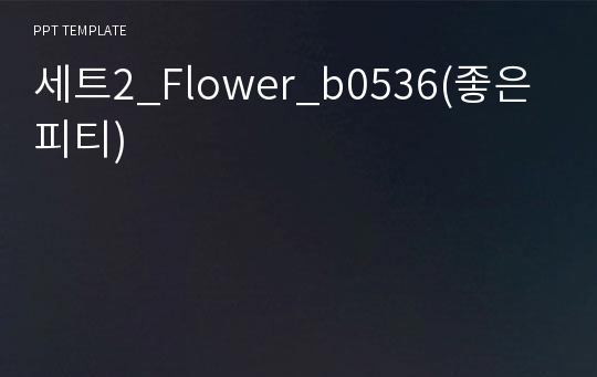 세트2_Flower_b0536(좋은피티)