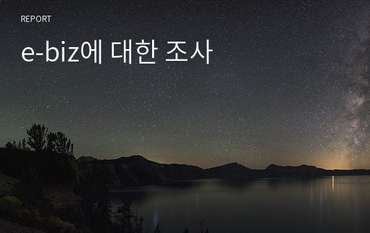 e-biz에 대한 조사