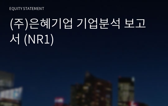 (주)은혜기업 기업분석 보고서 (NR1)