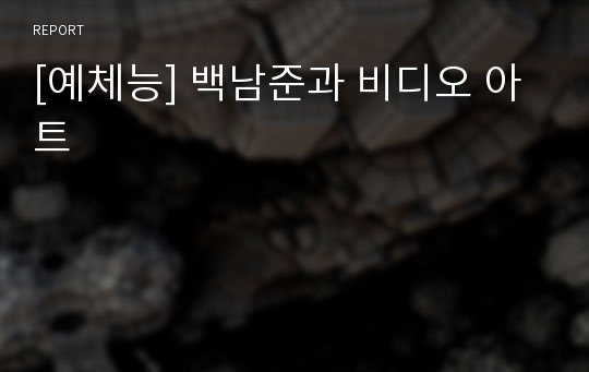 [예체능] 백남준과 비디오 아트