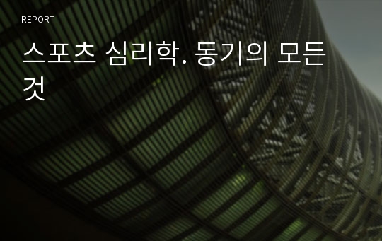 스포츠 심리학. 동기의 모든것