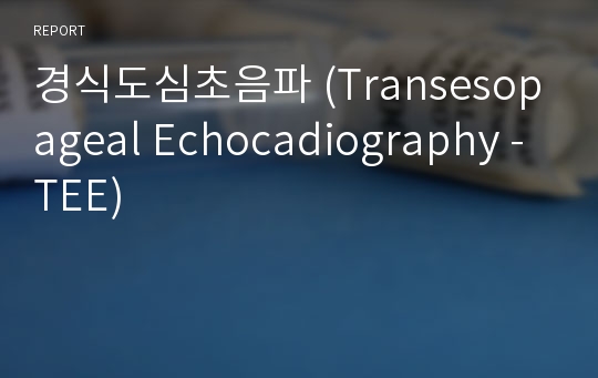 경식도심초음파 (Transesopageal Echocadiography - TEE)