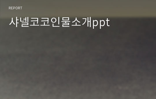 샤넬코코인물소개ppt