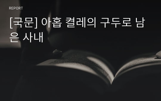 [국문] 아홉 켤레의 구두로 남은 사내