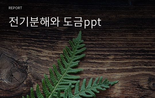 전기분해와 도금ppt