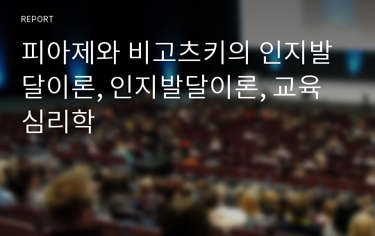 피아제와 비고츠키의 인지발달이론, 인지발달이론, 교육심리학