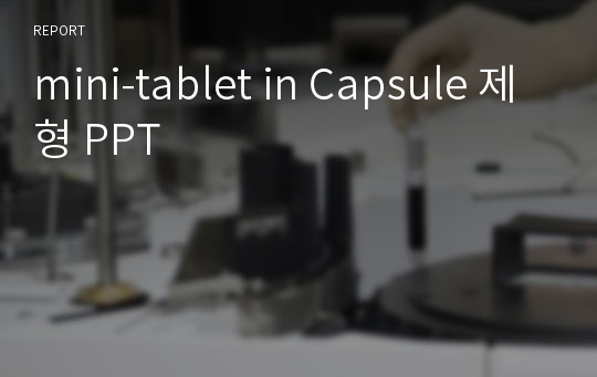 mini-tablet in Capsule 제형 PPT