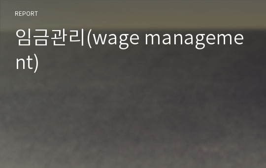 임금관리(wage management)