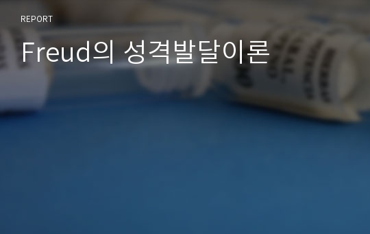 Freud의 성격발달이론