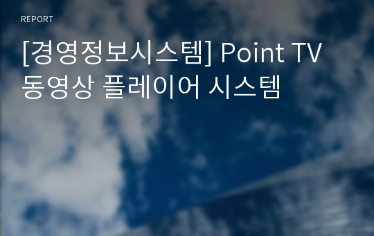 [경영정보시스템] Point TV 동영상 플레이어 시스템