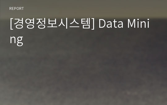 [경영정보시스템] Data Mining