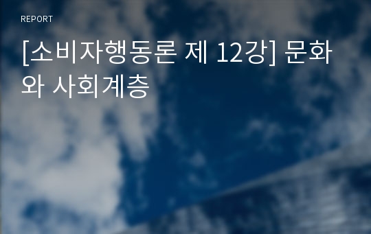 [소비자행동론 제 12강] 문화와 사회계층