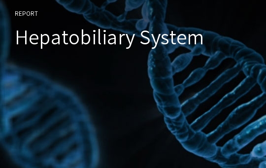 Hepatobiliary System