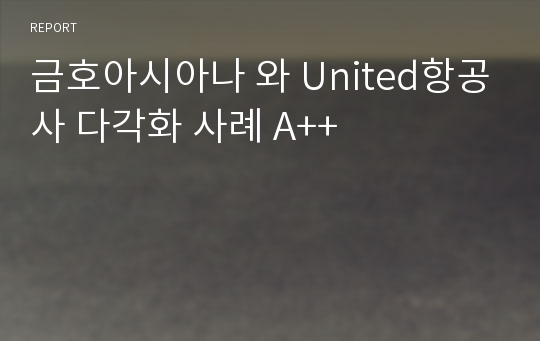 금호아시아나 와 United항공사 다각화 사례 A++