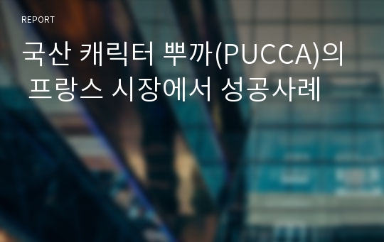 국산 캐릭터 뿌까(PUCCA)의 프랑스 시장에서 성공사례