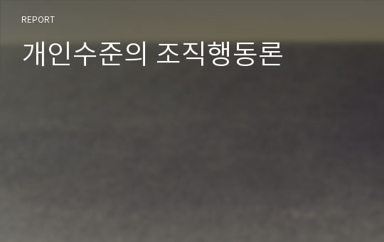 개인수준의 조직행동론