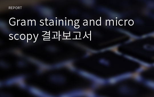 Gram staining and microscopy 결과보고서