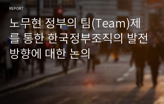 노무현 정부의 팀(Team)제를 통한 한국정부조직의 발전방향에 대한 논의