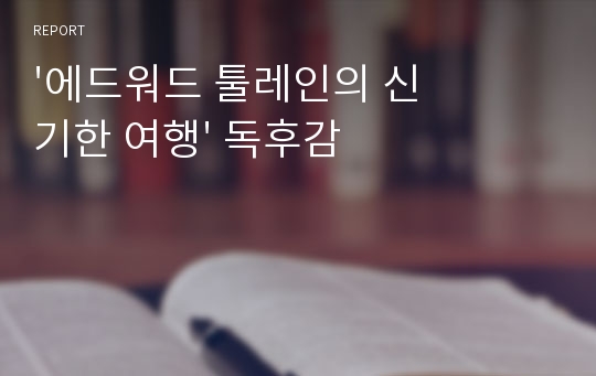 &#039;에드워드 툴레인의 신기한 여행&#039; 독후감