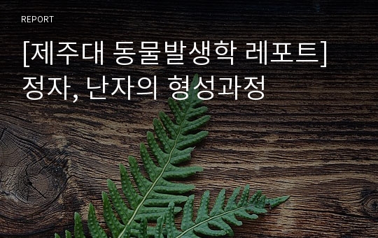 [제주대 동물발생학 레포트] 정자, 난자의 형성과정