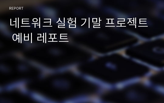 네트워크 실험 기말 프로젝트 예비 레포트