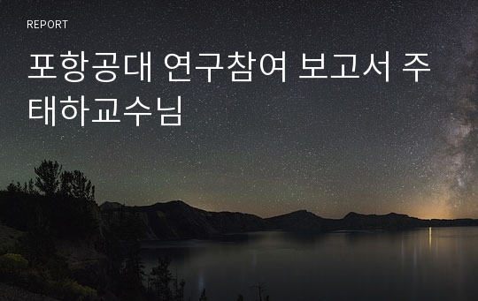 포항공대 연구참여 보고서 주태하교수님