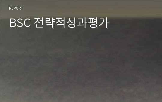 BSC 전략적성과평가