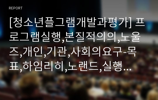 [청소년플그램개발과평가] 프로그램실행,본질적의의,노울즈,개인,기관,사회의요구-목표,하임리히,노랜드,실행전략,준비단계,체크리스트,역할분담,지도안,대응,지도전략,심화단계