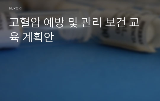 고혈압 예방 및 관리 보건 교육 계획안