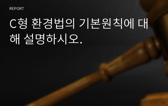 C형 환경법의 기본원칙에 대해 설명하시오.