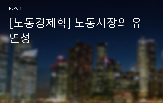 [노동경제학] 노동시장의 유연성