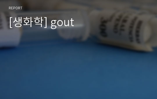 [생화학] gout