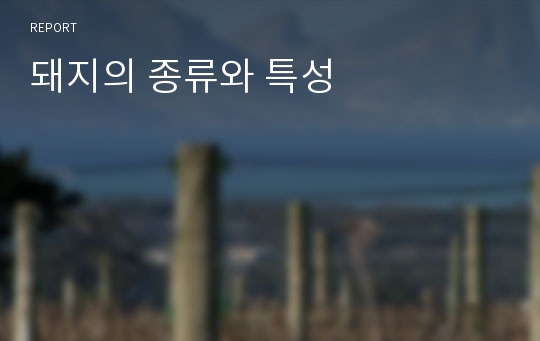 돼지의 종류와 특성