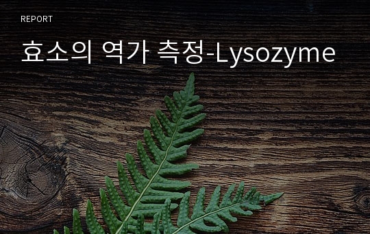 효소의 역가 측정-Lysozyme