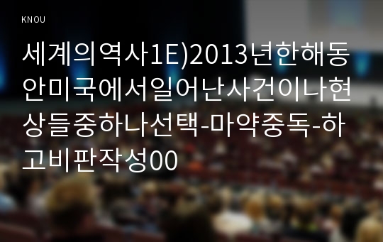 세계의역사1E)2013년한해동안미국에서일어난사건이나현상들중하나선택-마약중독-하고비판작성00