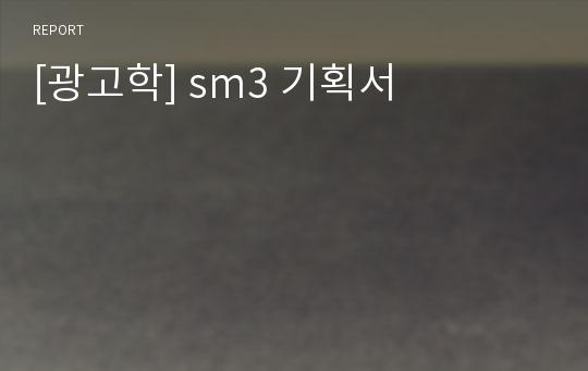 [광고학] sm3 기획서