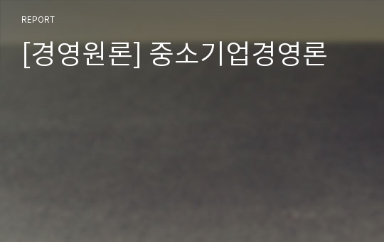 [경영원론] 중소기업경영론