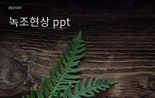 녹조현상 ppt