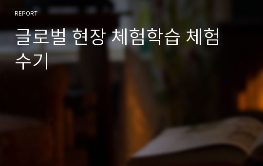 글로벌 현장 체험학습 체험 수기