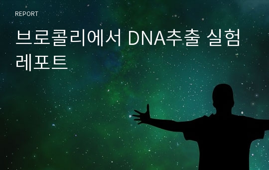 브로콜리에서 DNA추출 실험 레포트