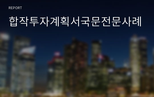 합작투자계획서국문전문사례