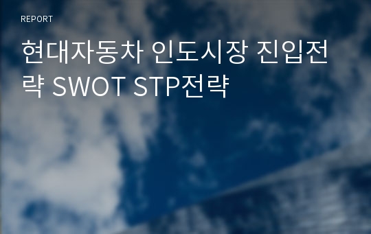 현대자동차 인도시장 진입전략 SWOT STP전략