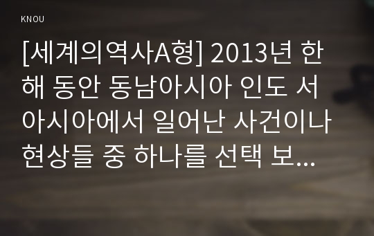 [세계의역사A형] 2013년 한해 동안 동남아시아 인도 서아시아에서 일어난 사건이나 현상들 중 하나를 선택 보도자료를 7건이상 확보 비판적이되 주체적인 글작성_2013 인도 성폭행