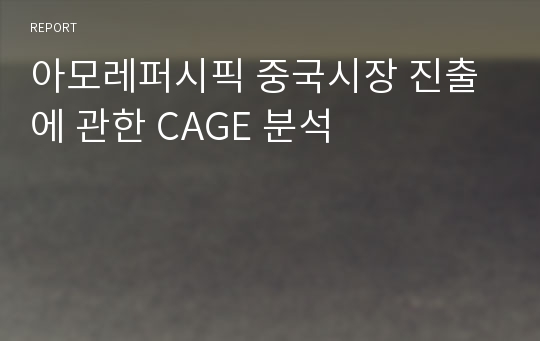 아모레퍼시픽 중국시장 진출에 관한 CAGE 분석