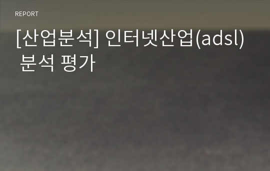 [산업분석] 인터넷산업(adsl) 분석 평가